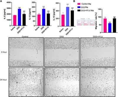 Network Pharmacology-Based Validation of the Efficacy of Huiyangjiuji Decoction in the Treatment of Experimental Colitis